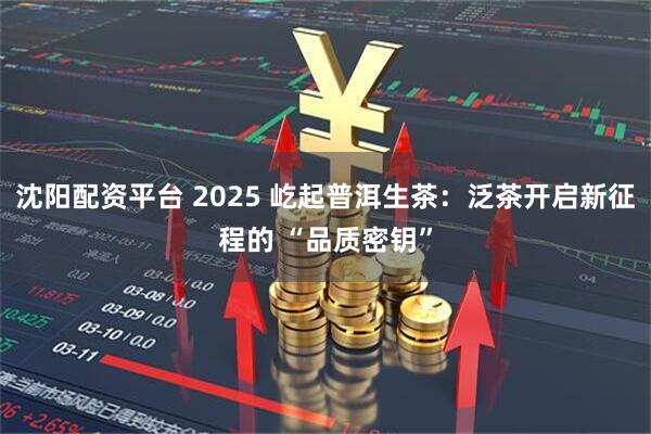 沈阳配资平台 2025 屹起普洱生茶：泛茶开启新征程的 “品质密钥”